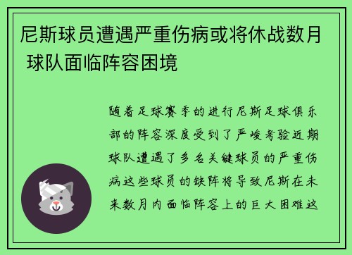 尼斯球员遭遇严重伤病或将休战数月 球队面临阵容困境