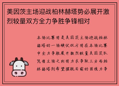 美因茨主场迎战柏林赫塔势必展开激烈较量双方全力争胜争锋相对