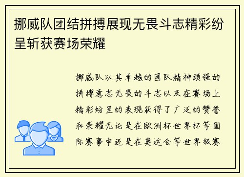 挪威队团结拼搏展现无畏斗志精彩纷呈斩获赛场荣耀